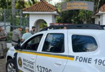 Homem invade zoológico mata veado e fere outros dois animais