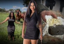 “Cavalona do Pó” aplicou golpe de venda de carro e ficou com R$ 65 mil da vítima