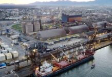 Economia brasileira cresce 2,3% em 2025, com destaque para agropecuária e serviços, revela IBGE