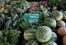 Edital do PAA abre inscrições para agricultores familiares indígenas e comunidades tradicionais no Amazonas