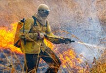 Governo detalha plano de combate a incêndios florestais para 2026 com foco em brigadas especializadas