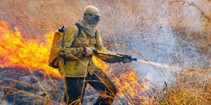Governo detalha plano de combate a incêndios florestais para 2026 com foco em brigadas especializadas