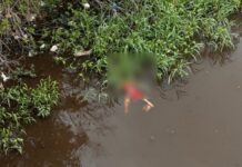 Homem é encontrado morto boiando em igarapé no bairro São Jorge, em Manaus