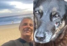 Cão Orelha: Morre indiciado por suposta coação de porteiro