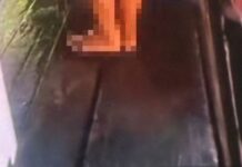 Homem é preso em Novo Aripuanã após agredir ex e divulgar vídeo íntimo de gestante