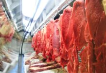 União Europeia barra importação de produtos de origem animal do Brasil