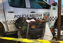Homem é encontrado morto dentro de carrinho de supermercado na Compensa; polícia investiga crime