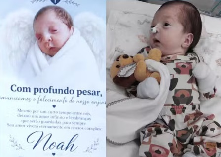 bebê