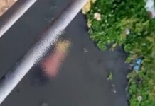 Corpo de mulher é encontrado nu no Igarapé do Quarenta, em Manaus
