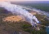 STF dá 15 dias para União apresentar plano de proteção de terras indígenas do Amazonas contra incêndios