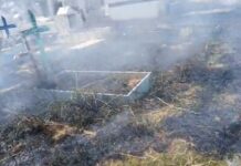 Princípio de incêndio assusta frequentadores no Cemitério do Tarumã