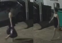 Mulher leva caixa até área de lixo e deixa recém-nascida no local; bebê é encontrada m0rt4 Mulher leva caixa até área de lixo e deixa recém-nascida no local; bebê é encontrada m0rt4