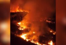 Incêndio em Iranduba expõe avanço das queimadas no Amazonas em setembro