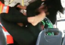 VÍDEO: Briga por suposta traição dentro de ônibus volta a viralizar nas redes